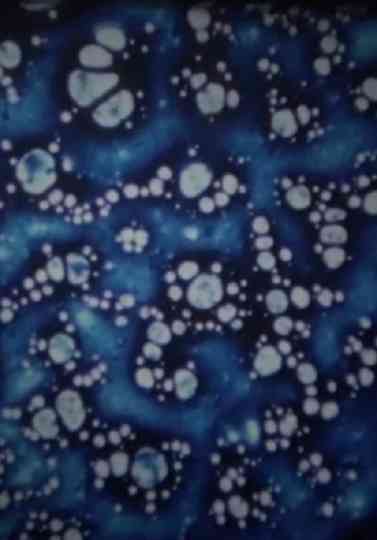 Crossing Brooklyn Ferry Poster