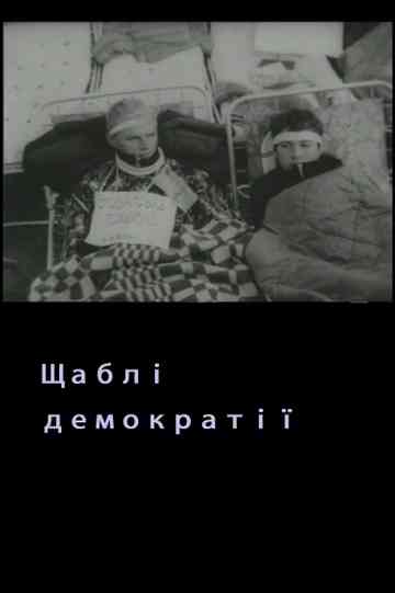 Levels Of Democracy Poster