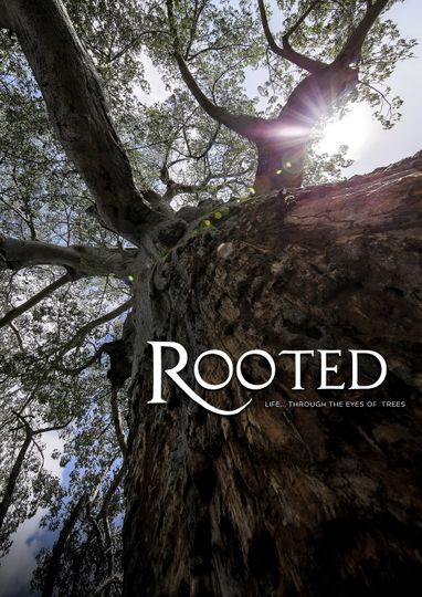 Rooted in Africa