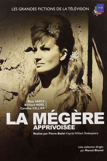 La Mégère apprivoisée Poster