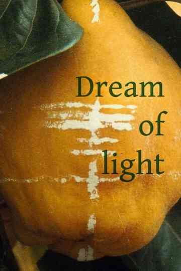 Dream of Light Poster