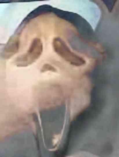 GRIPPERS NOTHER ONESERS ———- (AT SLIMER BEACH) Poster