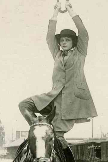 The Hazards of Helen Poster