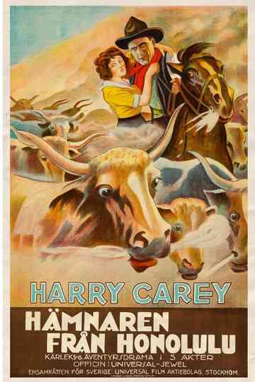 The Outlaw and the Lady Poster