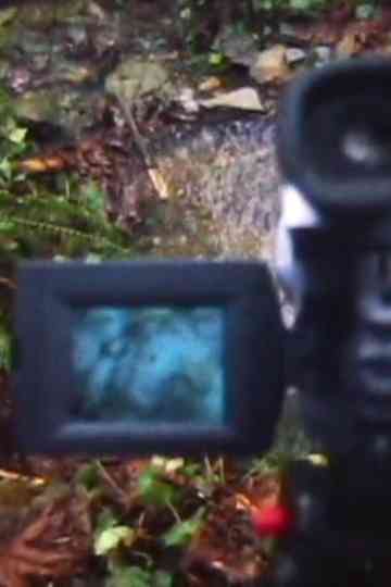 REMOTE VIEWING Poster