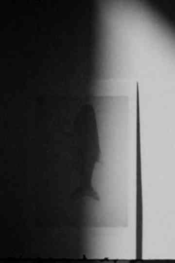 shadow swells Poster