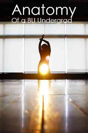 Anatomy of a BU Undergrad Poster