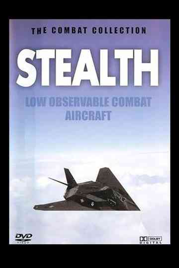 Stealth Low Observable Combat Aircraft Poster