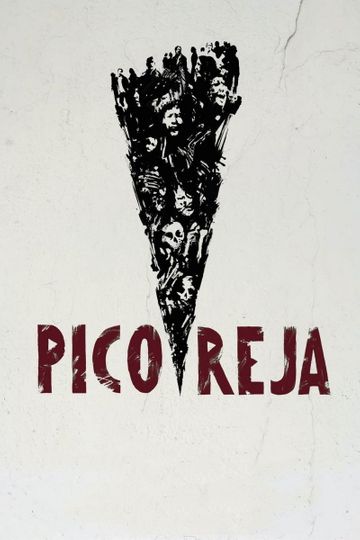 Pico Reja: The Truth Buried Beneath
