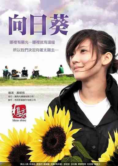 Sun Flowers Poster