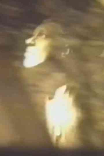 Unknown Title Poster