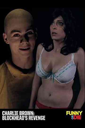 Charlie Brown: Blockhead's Revenge Poster