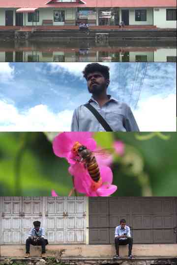 THE PHOTOGRAPHER Poster