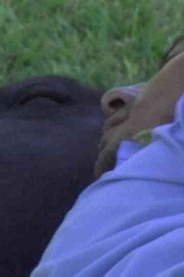 Querida Chick Jessica Sarah Rinland to Chick Strand Poster