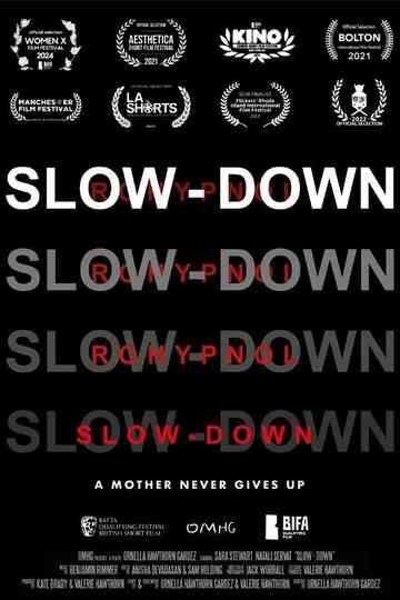 Slow-Down Poster