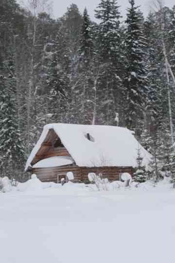 Ivan's Ladder Poster