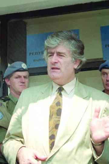 Life and Deeds of Radovan Karadzic Poster