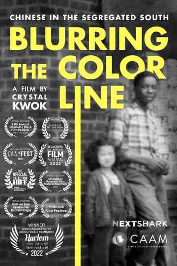 Blurring the Color Line: Chinese in the Segregated South Poster