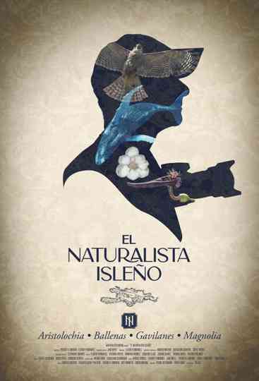 Island Naturalist Poster