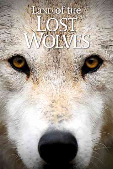 Land of the Lost Wolves Poster