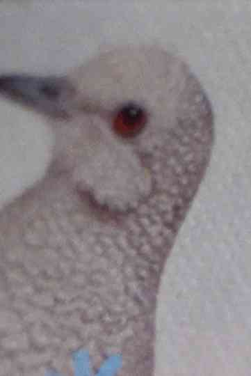 Puerta a Puerta Poster