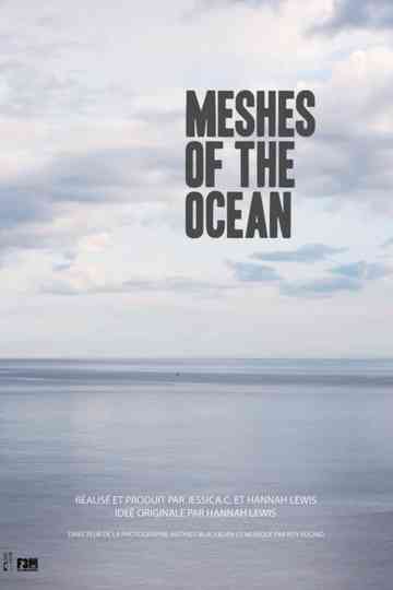Meshes of the Ocean Poster