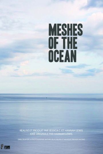 Meshes of the Ocean