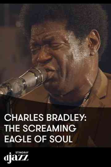 Charles Bradley The Screaming Eagle Of Soul - 2014 Poster