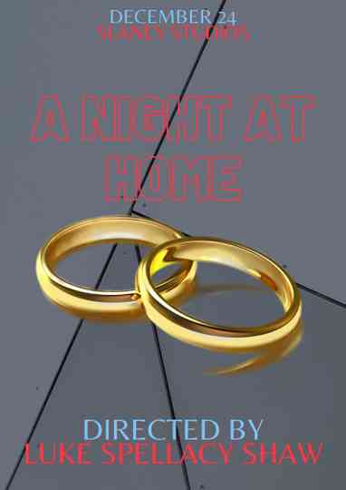 A Night at Home Poster