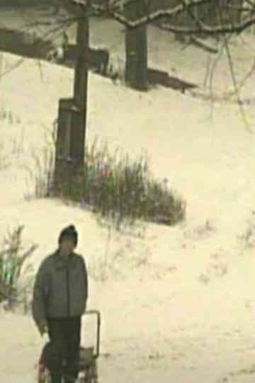 Reading Chevengur Poster