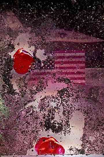 National Tapestry Poster