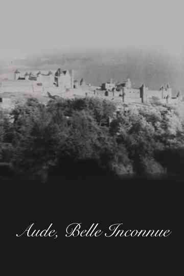 Aude belle inconnue Poster