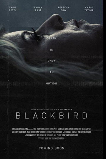 Blackbird Poster