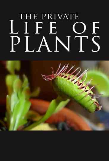 The Private Life of Plants poster