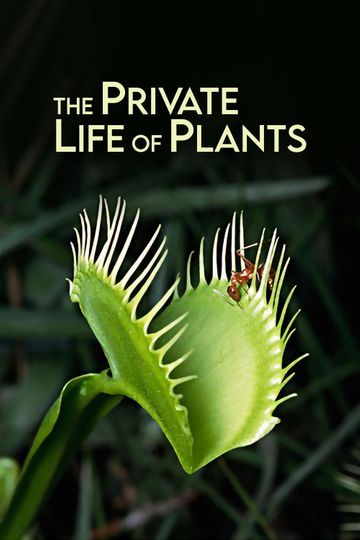 The Private Life of Plants