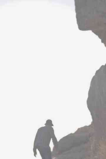 Bifurcaciones Poster