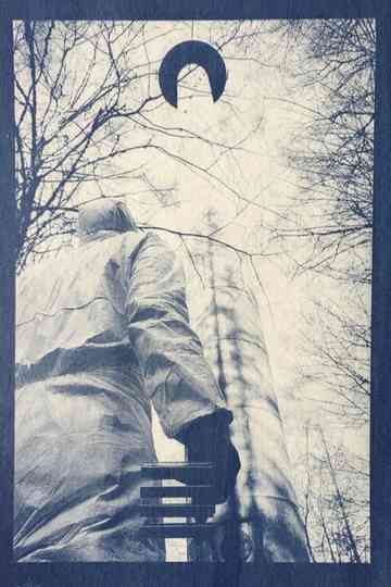 Mittel Würffel Poster