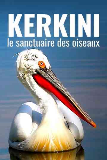 Kerkini The Bird Sanctuary Poster