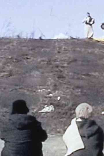 Welome, Back, Man Poster