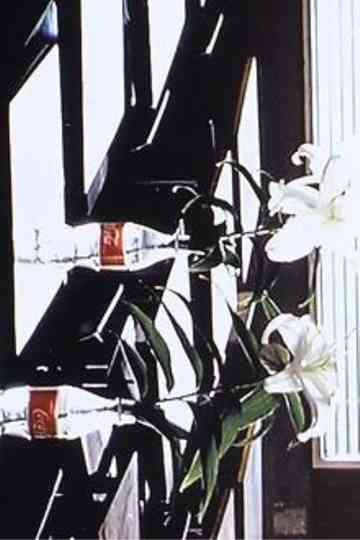 A Gray Rain is Going to Fall Poster