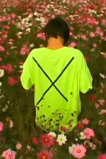 An Acid Field Poster