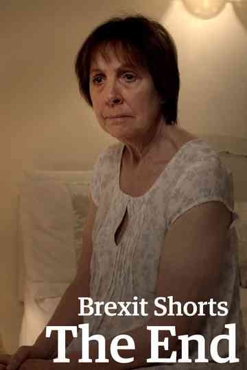 Brexit Shorts: The End Poster