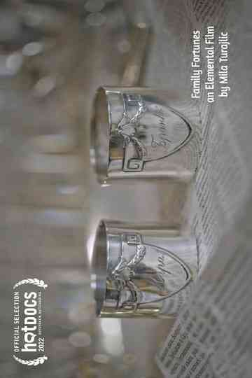 Family Fortunes Poster