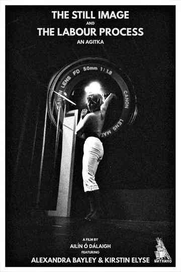 The Still Image and the Labour Process: An Agitka Poster