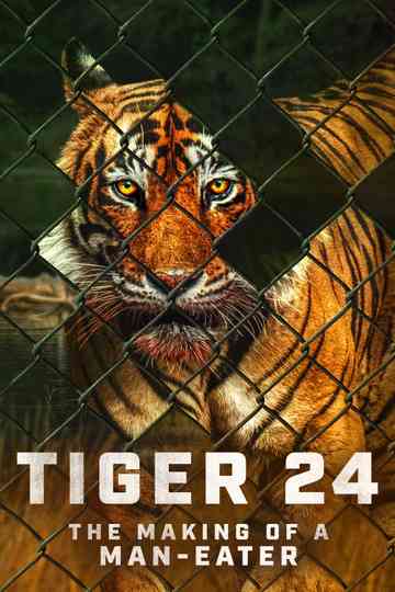 Tiger 24 Poster
