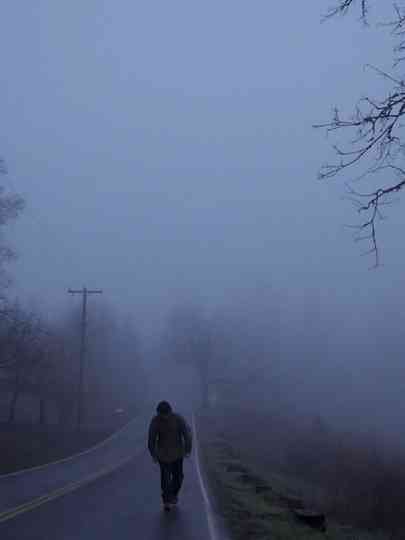 the last view Poster