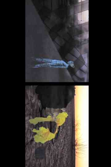 A Wilderness of Elsewheres Colony 1 poster