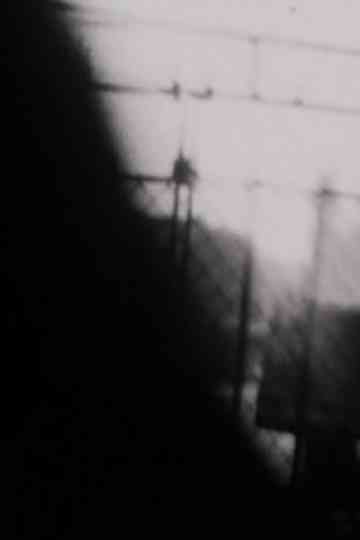 Double Shutter Poster