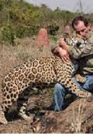 Jaguars, nés pour être libres Poster