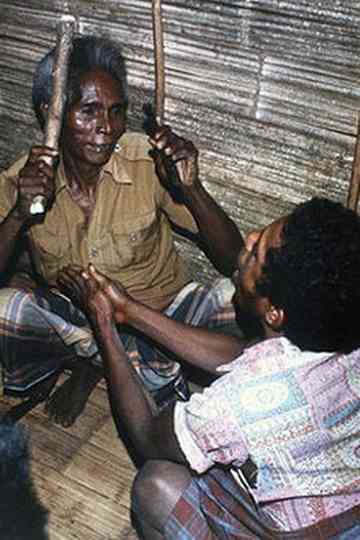 A Celebration of Origins Poster